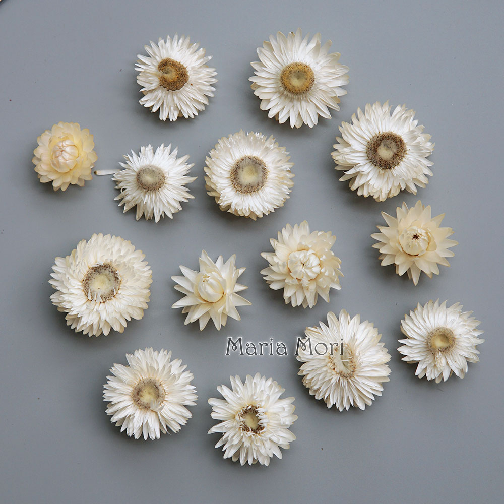 Baby Products List - Natuurlijke Gedroogde Kleurrijke Chrysanthemum Krans Handgemaakte